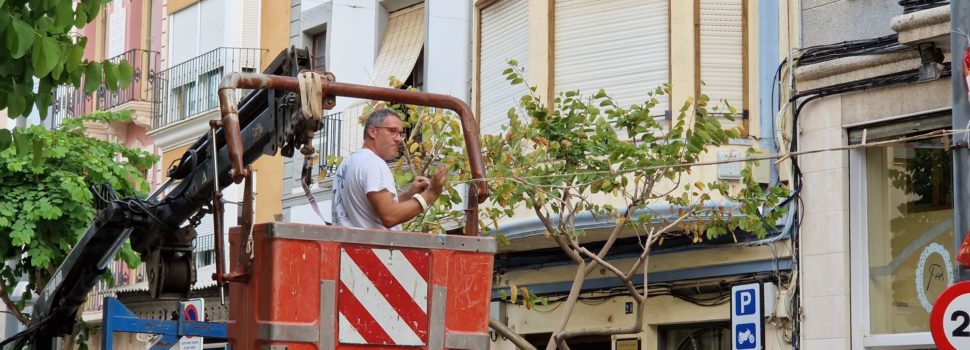 Cada tarda, a instal·lar la traca