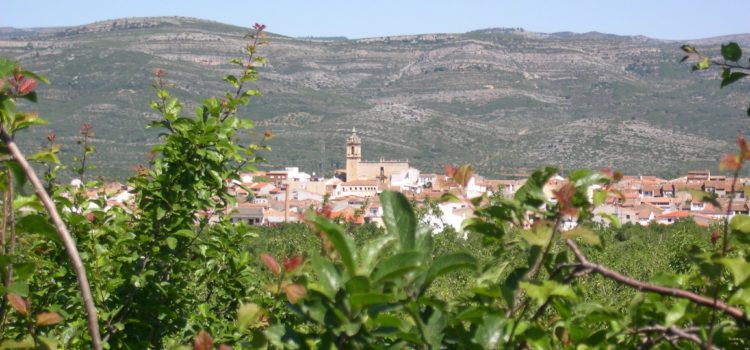 Albocàsser accedeix a més de 115.000 euros per a contractar personal