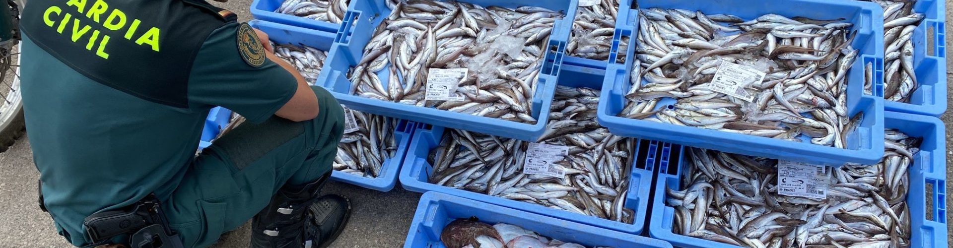 La Guardia Civil interviene más de 100 kilos de pescado en Les Cases d’Alcanar que no cumplía el tallaje mínimo