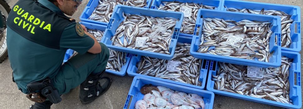 La Guardia Civil interviene más de 100 kilos de pescado en Les Cases d’Alcanar que no cumplía el tallaje mínimo