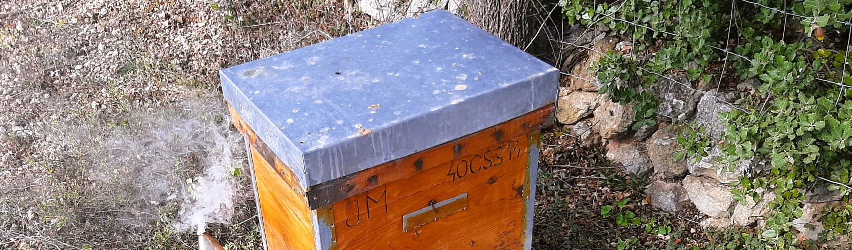 Vinaròs Mail, 18-6-23