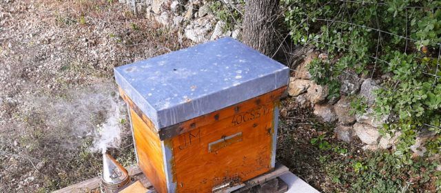 Vinaròs Mail, 18-6-23