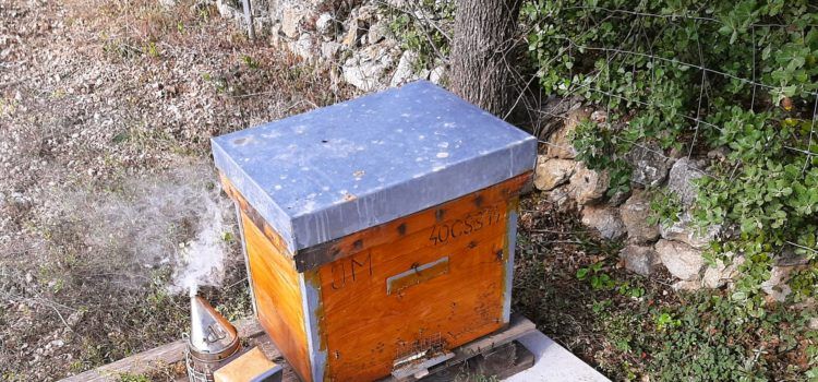 Vinaròs Mail, 18-6-23