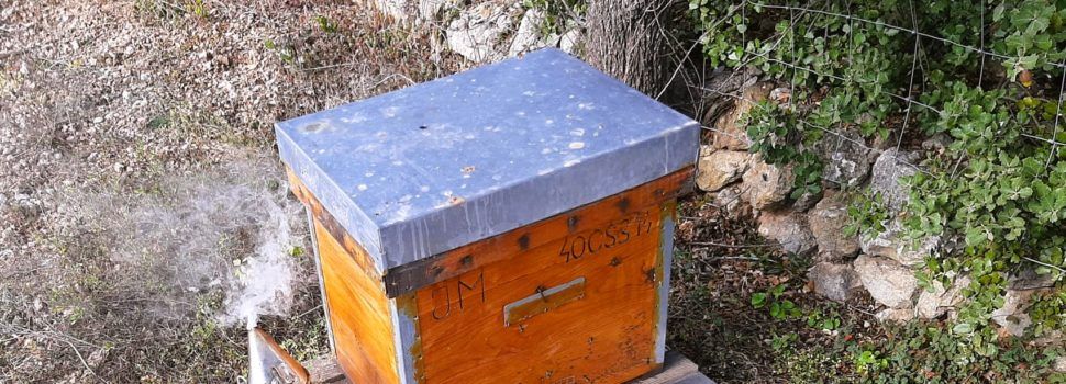 Vinaròs Mail, 18-6-23