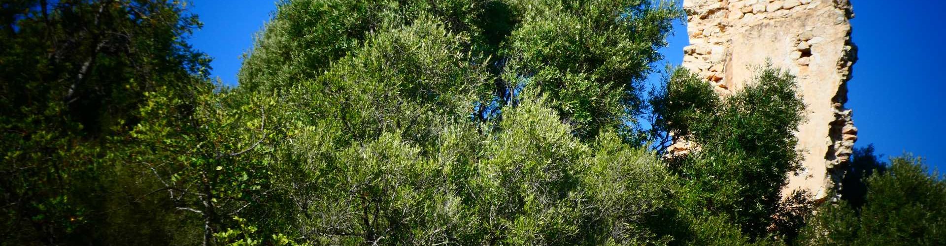 Amics de Vinaròs vol fer una campanya per la recuperació de la Torreta dels Moros