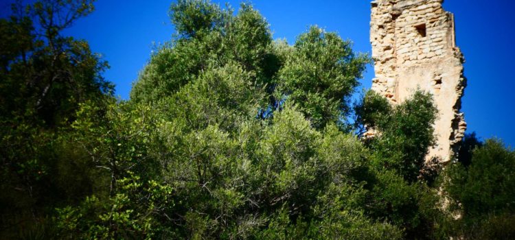 Amics de Vinaròs vol fer una campanya per la recuperació de la Torreta dels Moros
