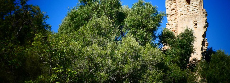 Amics de Vinaròs vol fer una campanya per la recuperació de la Torreta dels Moros