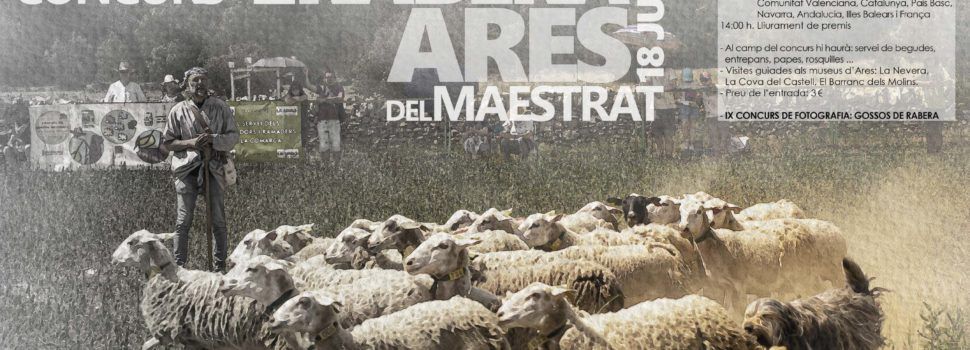 Ares celebrarà el XVI Concurs de Gossos de Rabera el 18 de juny