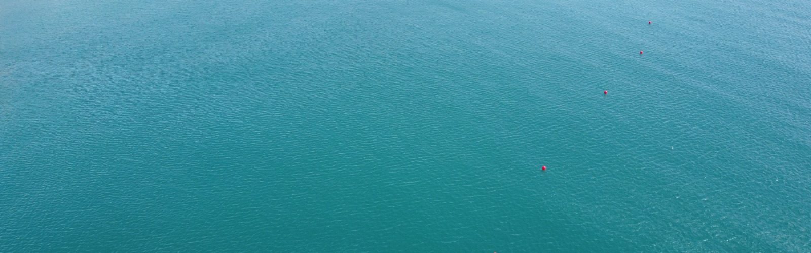 Turisme obre un canal de natació a la platja del Fortí