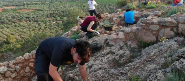 La gran muralla de la Ferradura i la planimetria de la Cogula, al descobert