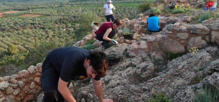 La gran muralla de la Ferradura i la planimetria de la Cogula, al descobert