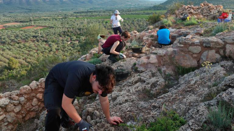 La gran muralla de la Ferradura i la planimetria de la Cogula, al descobert