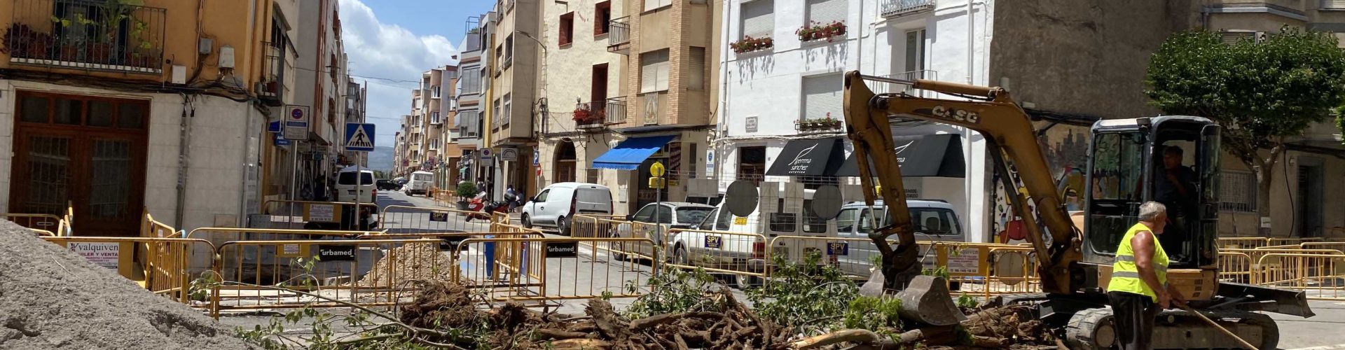 Compromís Benicarló reclama modificacions del projecte en l’Eix Cívic si implica més destrucció d’arbrat