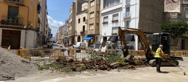 Compromís Benicarló reclama modificacions del projecte en l’Eix Cívic si implica més destrucció d’arbrat