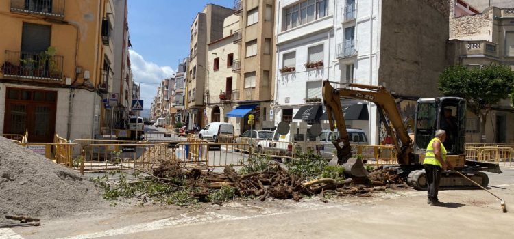 Compromís Benicarló reclama modificacions del projecte en l’Eix Cívic si implica més destrucció d’arbrat