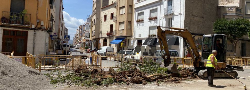 Compromís Benicarló reclama modificacions del projecte en l’Eix Cívic si implica més destrucció d’arbrat