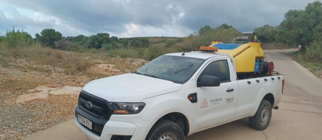 L’Ajuntament intensifica la campanya de control de mosquits