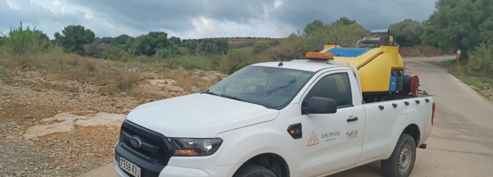 L’Ajuntament intensifica la campanya de control de mosquits