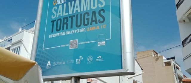 Alcalà-Alcossebre se suma a la IV Campaña de Concienciación “Tortugas en el Mediterráneo” de la Fundación Oceanogràfic