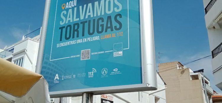 Alcalà-Alcossebre se suma a la IV Campaña de Concienciación “Tortugas en el Mediterráneo” de la Fundación Oceanogràfic