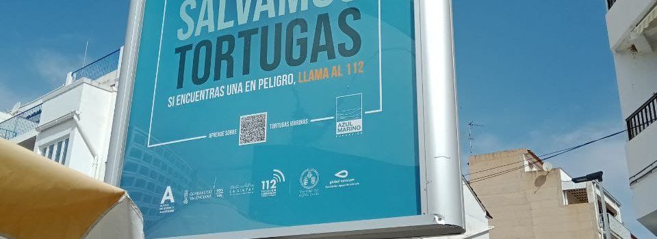 Alcalà-Alcossebre se suma a la IV Campaña de Concienciación “Tortugas en el Mediterráneo” de la Fundación Oceanogràfic