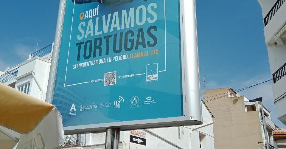 Alcalà-Alcossebre se suma a la IV Campaña de Concienciación “Tortugas en el Mediterráneo” de la Fundación Oceanogràfic