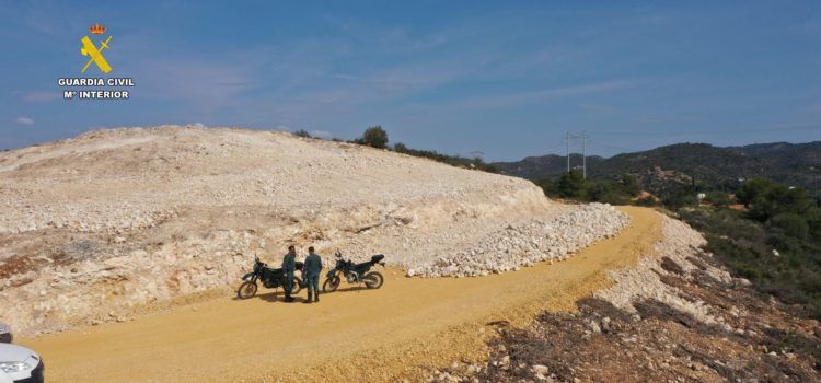 El SEPRONA controla la deforestación de palmito en trabajos de un terreno de Tortosa donde estaba siendo eliminado sin control alguno