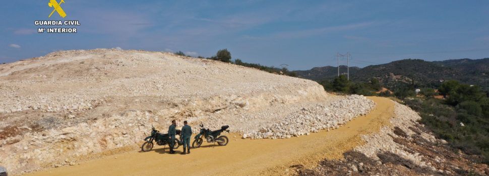 El SEPRONA controla la deforestación de palmito  en trabajos de  un terreno de Tortosa donde estaba siendo eliminado sin control alguno