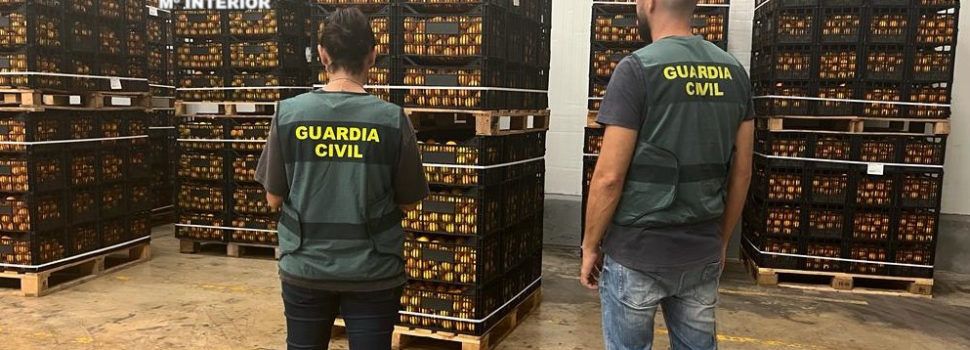 Dos detenidos en Benicarló por la sustracción de 25 toneladas de naranjas