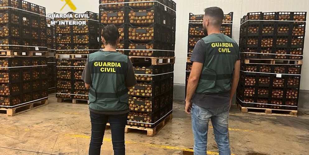 Dos detenidos en Benicarló por la sustracción de 25 toneladas de naranjas