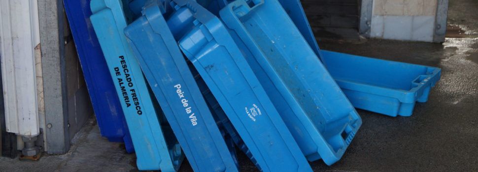 Investigadores del Proyecto Digipesca crean una base con casi 5 millones de datos sobre las lonjas de pescado del Mediterráneo español