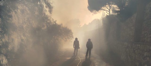 Incendio de vegetación en Alcalà de Xivert