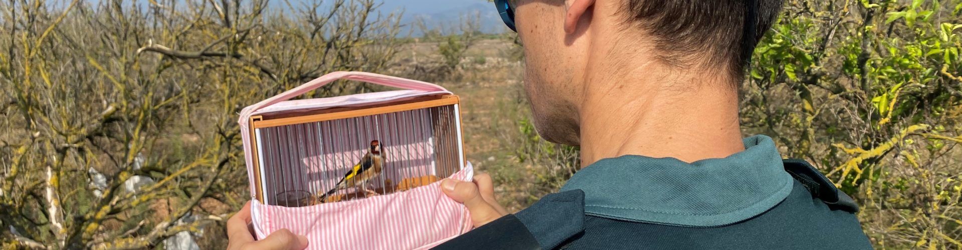 El SEPRONA de la Guardia Civil investiga a dos individuos por capturar aves protegidas mediante el uso de redes “de libro”