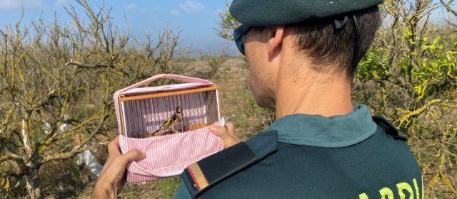 El SEPRONA de la Guardia Civil investiga a dos individuos por capturar aves protegidas mediante el uso de redes “de libro”