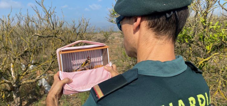 El SEPRONA de la Guardia Civil investiga a dos individuos por capturar aves protegidas mediante el uso de redes “de libro”