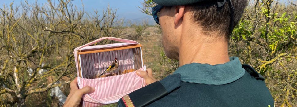 El SEPRONA de la Guardia Civil investiga a dos individuos por capturar aves protegidas mediante el uso de redes “de libro”