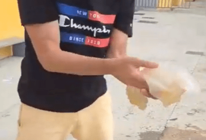 Vídeo: “demostració” sobre les meduses del port de Vinaròs