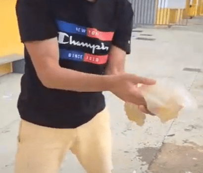 Vídeo: “demostració” sobre les meduses del port de Vinaròs