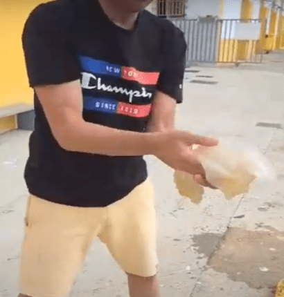 Vídeo: “demostració” sobre les meduses del port de Vinaròs