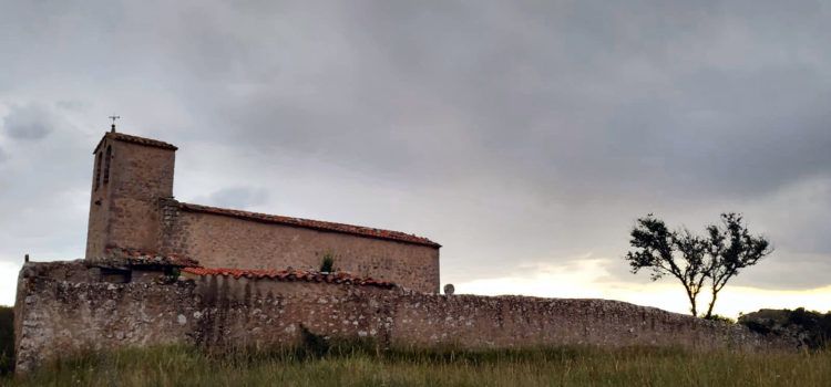 Coratxà, fotografiat per Joan Ferré Verge
