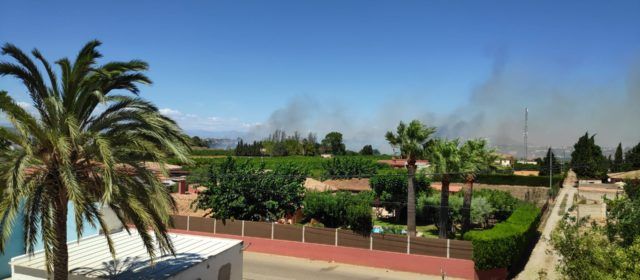 Incendios de vegetación en Benicarló y Torrenostra