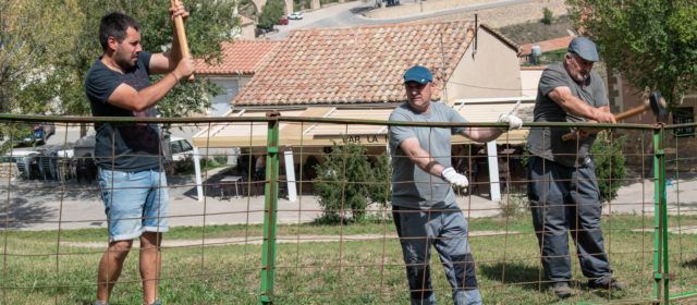La Fira de Morella recupera la degustació de carn de la comarca en l’edició d’este cap de setmana