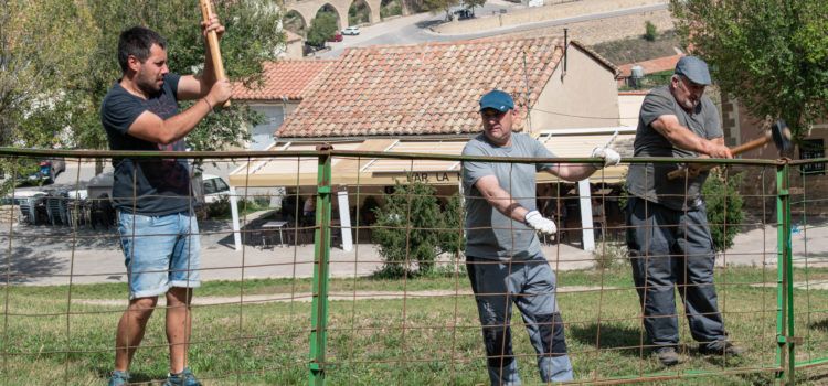 La Fira de Morella recupera la degustació de carn de la comarca en l’edició d’este cap de setmana