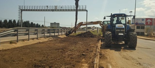 L’Ajuntament d’Amposta continua arranjant camins i donant suport a les persones afectades pel temporal