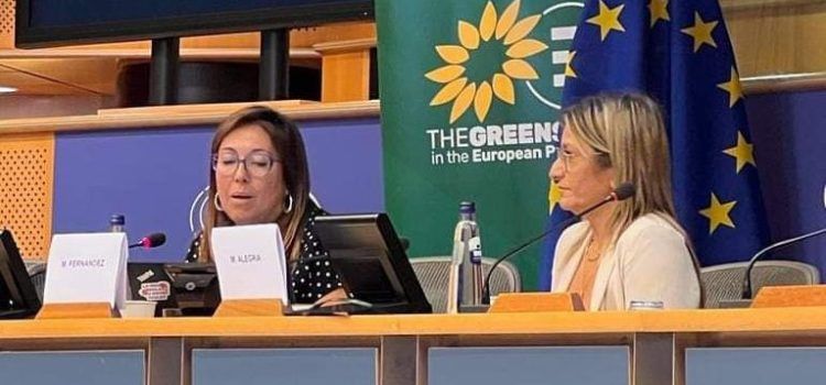 Amposta reivindica la mediació per apropar l’educació a tothom des del Parlament Europeu