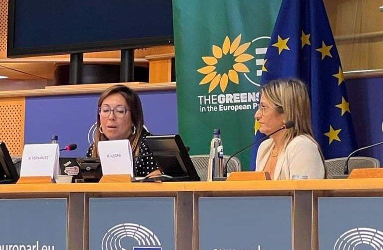 Amposta reivindica la mediació per apropar l’educació a tothom des del Parlament Europeu