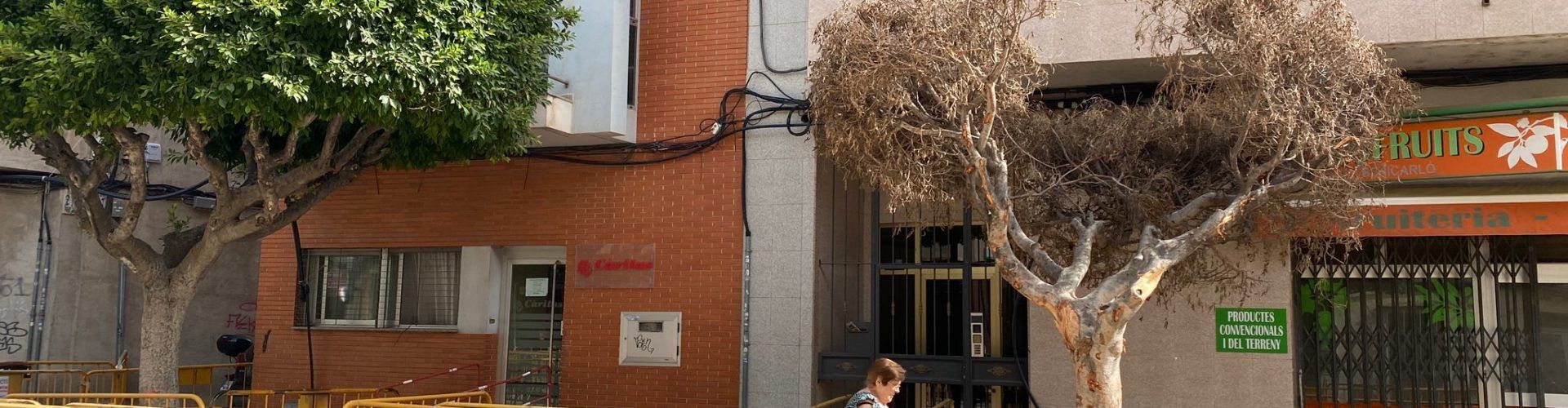 Compromís Benicarló demana al Ple conéixer el seguiment que es fa de les obres de l’Eix Cívic i pregunta per l’eliminació d’arbres