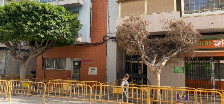 Compromís Benicarló demana al Ple conéixer el seguiment que es fa de les obres de l’Eix Cívic i pregunta per l’eliminació d’arbres