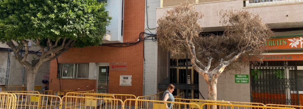 Compromís Benicarló demana al Ple conéixer el seguiment que es fa de les obres de l’Eix Cívic i pregunta per l’eliminació d’arbres