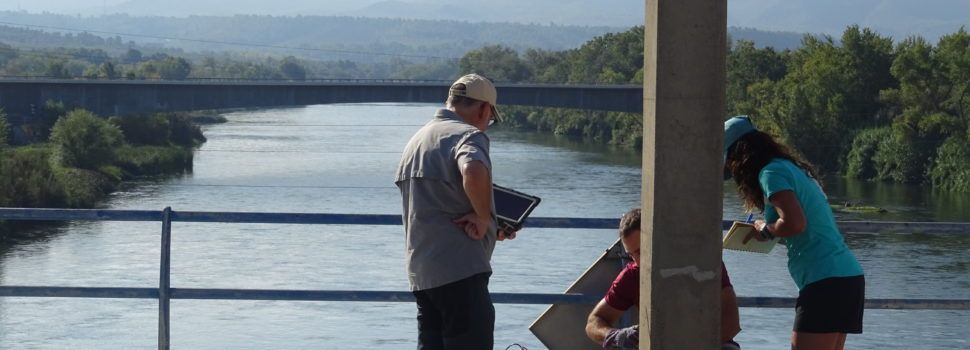 La CHE estudia el estado del tramo bajo del Ebro para para evaluar las condiciones ambientales del río en época de sequía